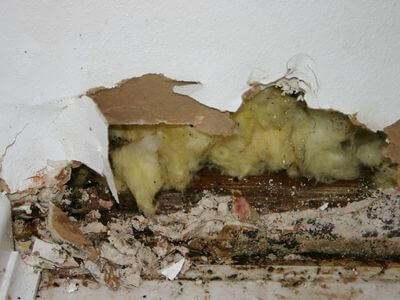About Fast Flood Recovery - water damage restoration experts in Dadeville, AL
